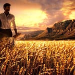 اهمیت مال حلال